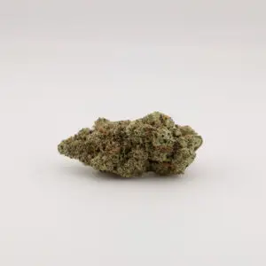 Ridgeline Lamtz (Multi Cup Winner)